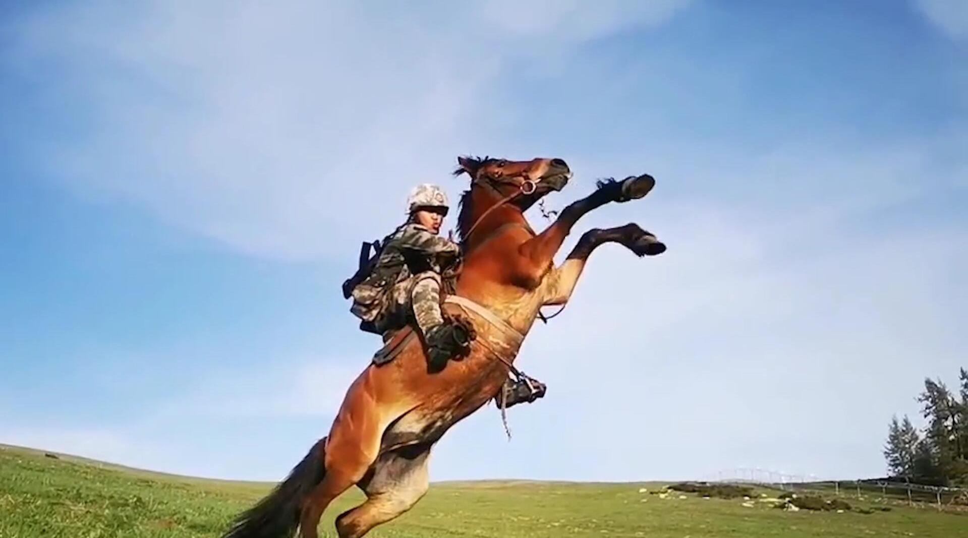 立马在边关,军马与饲养员人马合一!