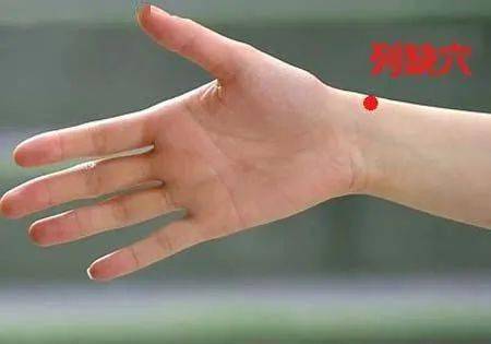 它位于手腕内侧(大拇指侧下),能感觉到脉搏跳动之处就是