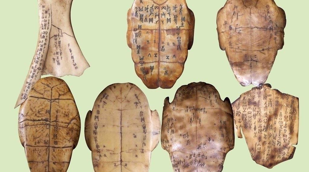 一分钟甲骨文——自/鼻