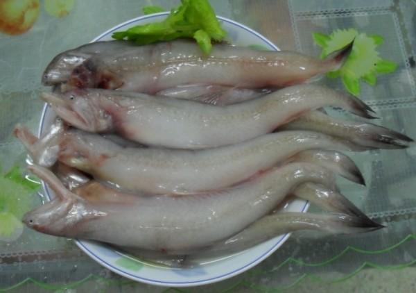 渔民最爱的4种鱼,很多人感觉不上"档次",却是妥妥的"好鱼"