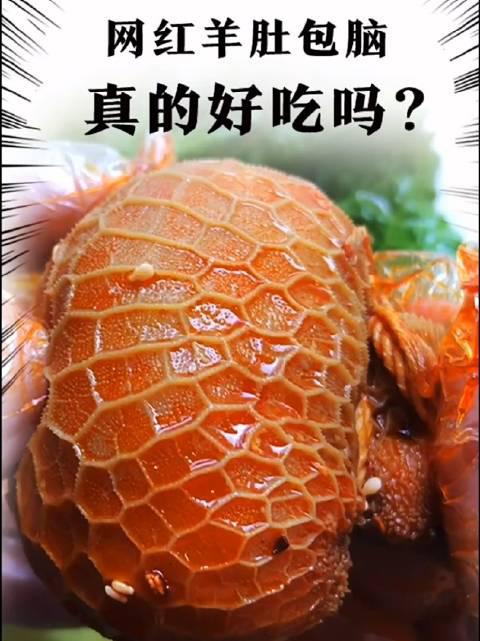 网红美食羊肚包羊脑到底好吃吗?
