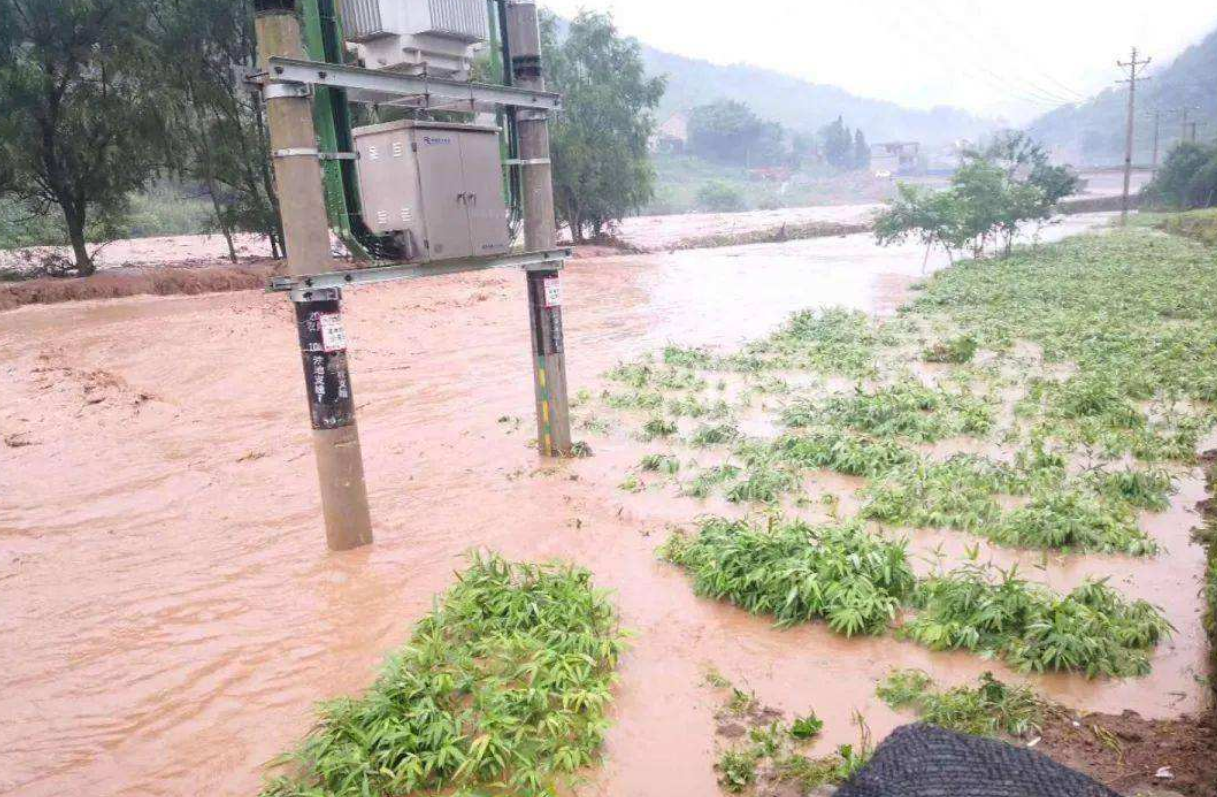 2020年洪災又來了!持續強降雨,對糧食收成有什麼影響?