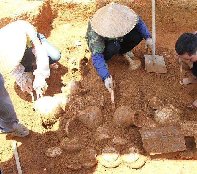 老汉开挖地种菜无意发现一批宝贝,老伯也淡定不住了