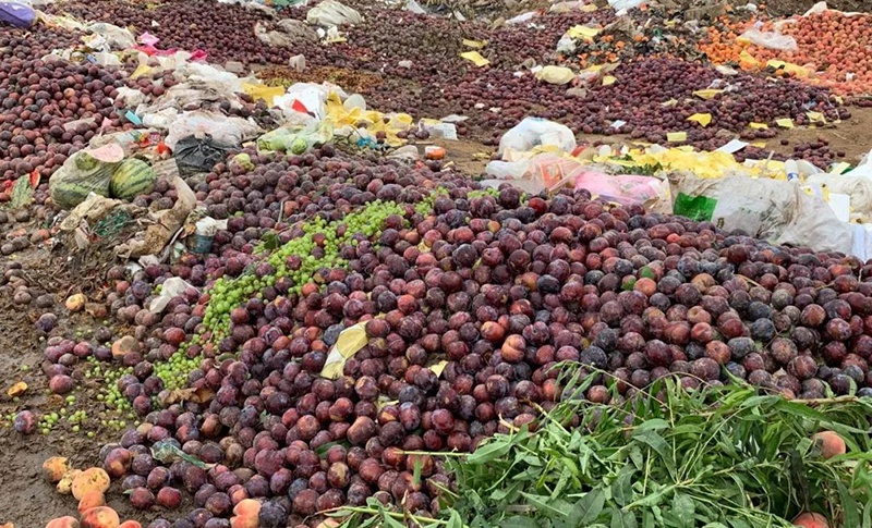 农产品"被滞销"盛行,真滞销无人问,消费者:太坏了,纯属坑人