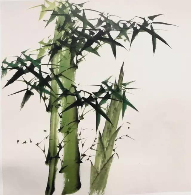 国画竹子的绘画技法,详细实用!|竹叶|侧锋|竹子_新浪新闻