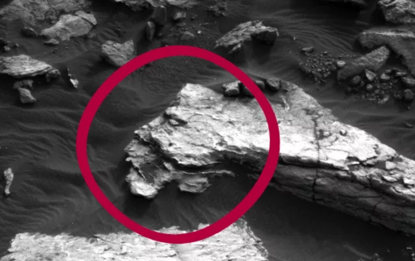 眼睛,脸颊轮廓可见,来自好奇号|火星|人脸|昆虫学家_新浪新闻