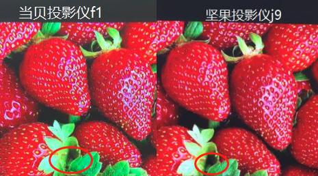 大王花的app是不是下架了的简单介绍