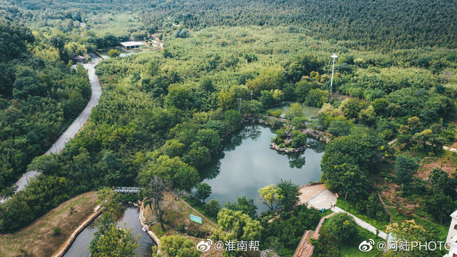 鸟瞰上窑森林公园