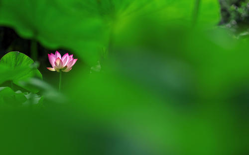 特别声明:以上文章内容仅代表作者本人观点,不代表新浪网观点或立场