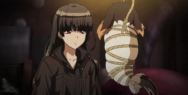 剪刀狗和加速猪是什么在二次元当中你可能不如他们