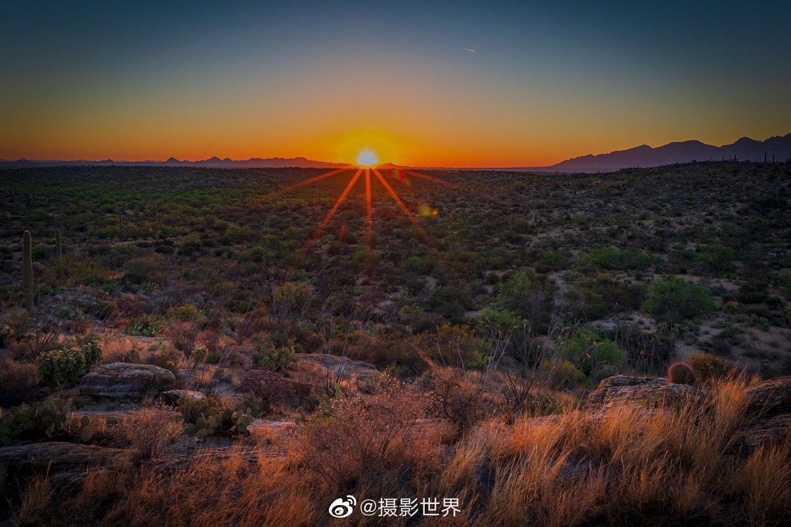 位于美国和墨西哥交界的索诺拉沙漠