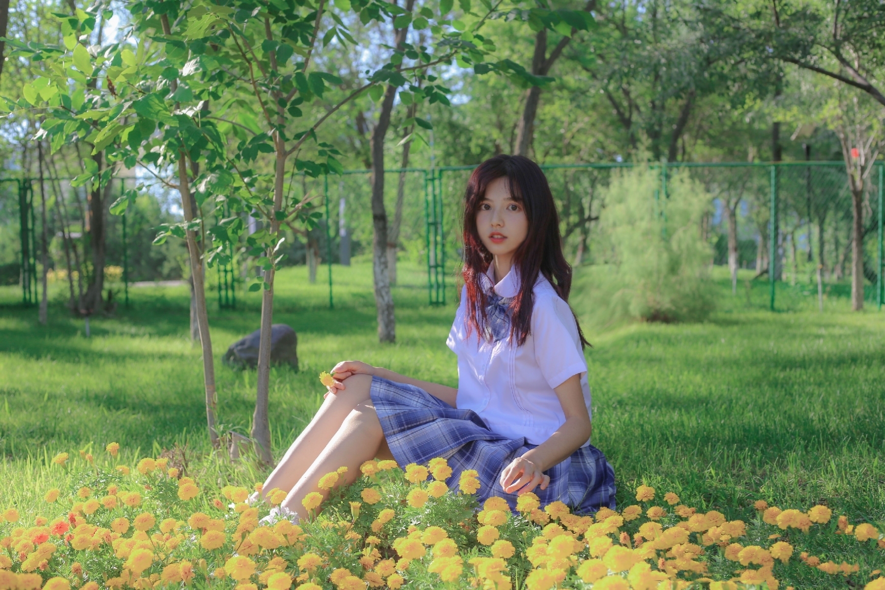 我又初恋啦!和jk小姐姐一起散步林间吧!