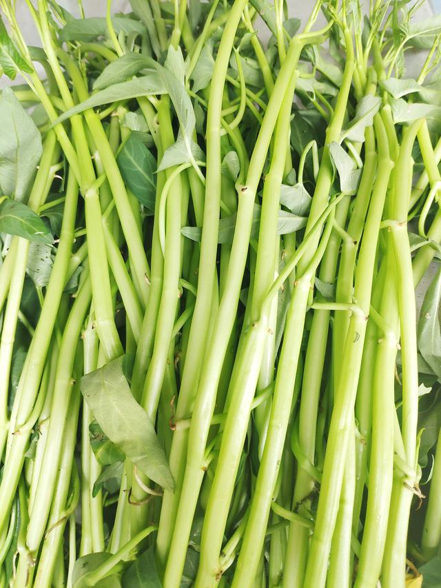 老广的味道酷暑来一碟翠绿爽口的博白空心菜