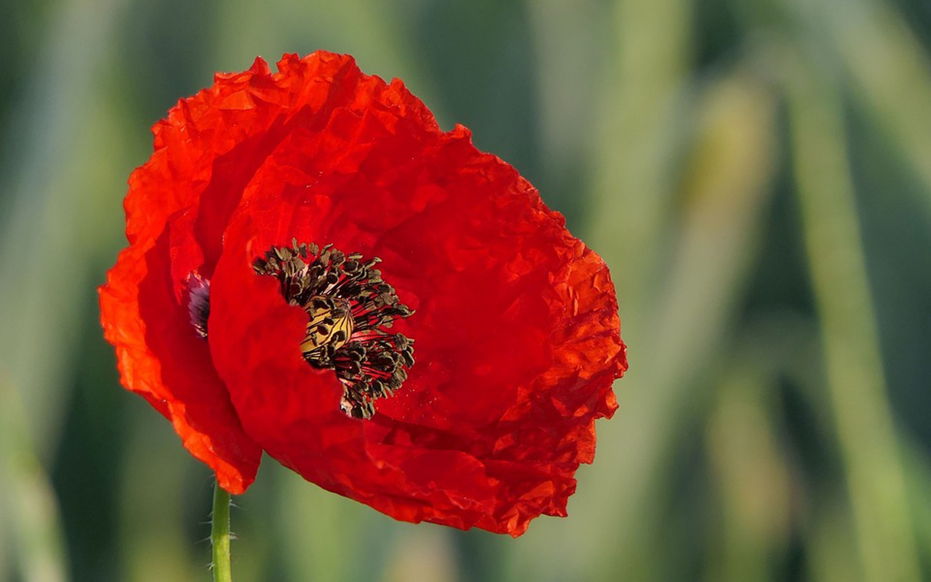 双鱼座的朋友是水象星座,因此你们天生就有着感性的情感,因感动而流泪