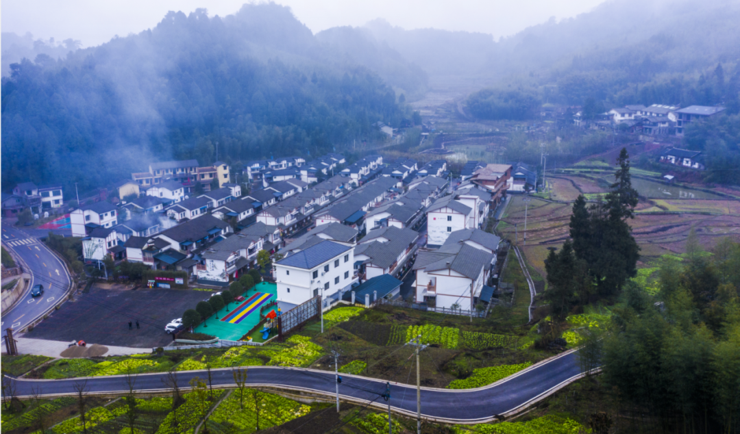 第二批全国乡村旅游重点村名单公示,重庆这20个村入围,有你家乡吗?