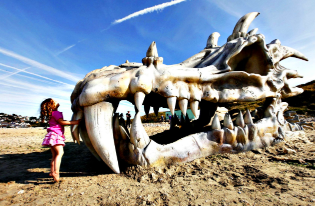 龙骨",当地居民争相围观却不敢随意触碰|骨架|围观|多塞特_新浪新闻