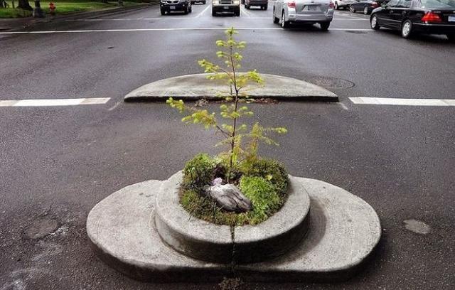 世界上"最小"的公园,宛如一盆盆栽,还获得了吉尼斯的认证!