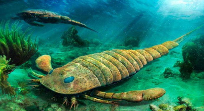 约4亿年前的生物被发现,科学家如获至宝,它或是最古老陆地动物