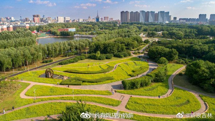 油菜花|长春|台地园_新浪新闻