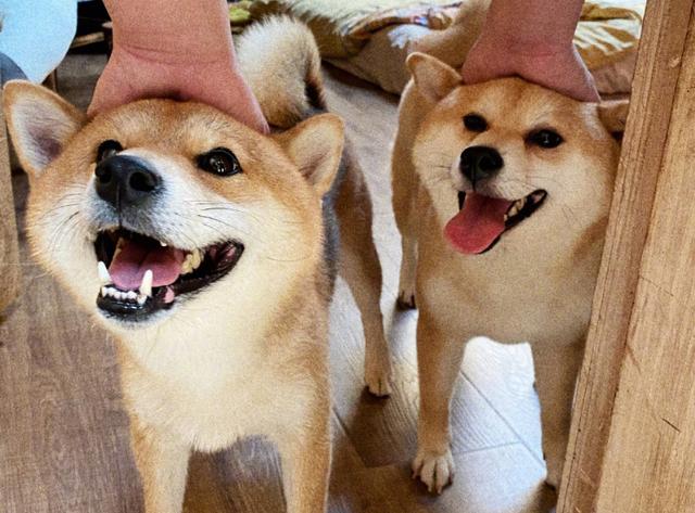 欧阳娜娜晒和张子枫合影两人表情超得意我却被妹妹锁骨吸引