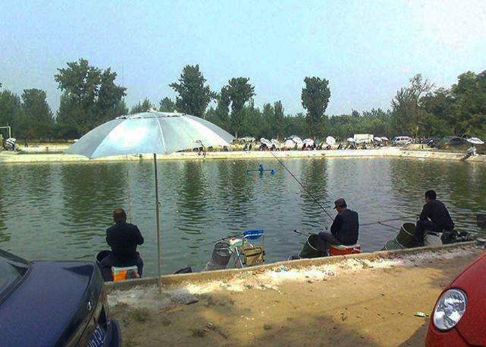 坑冠达人分享黑坑钓鱼心得,想得坑冠的钓友看过来