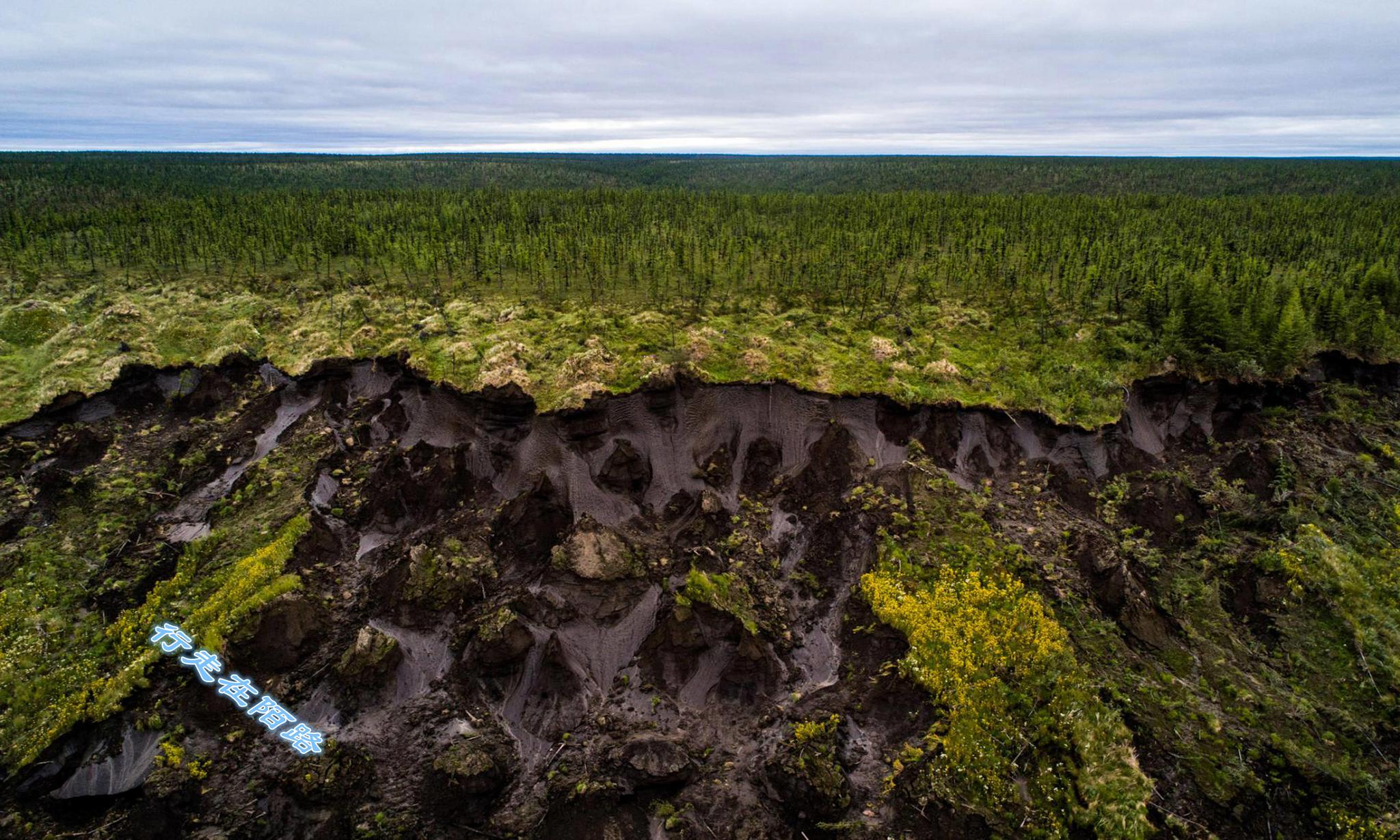 俄罗斯永冻土融化:地面下陷百米深,出土3万年前的马化石