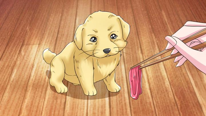 小狗不喜欢吃肉,却喜欢吃鱼,这背后的故事令人感动,太羡慕了!