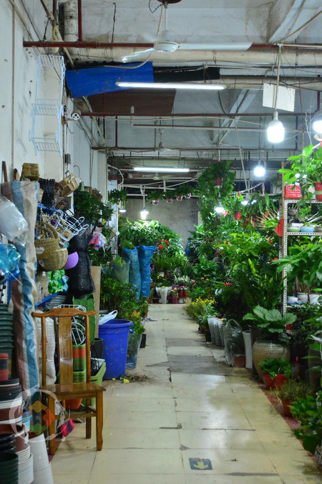 重庆杨家坪花鸟市场缺点成串环境差却因周冬雨与易烊千玺而火