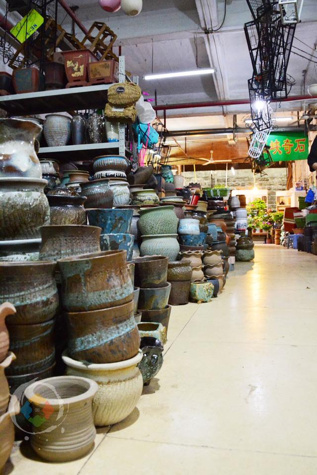 重庆杨家坪花鸟市场缺点成串环境差却因周冬雨与易烊千玺而火