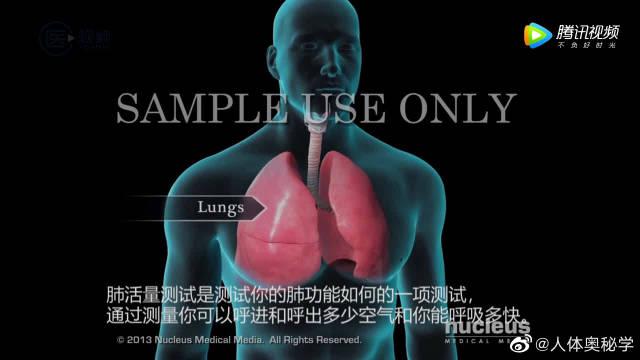 胸椎损伤导致部分肋间肌麻痹的患者,进行呼吸功能锻炼时如何选择合适的腹式呼吸辅助工具?