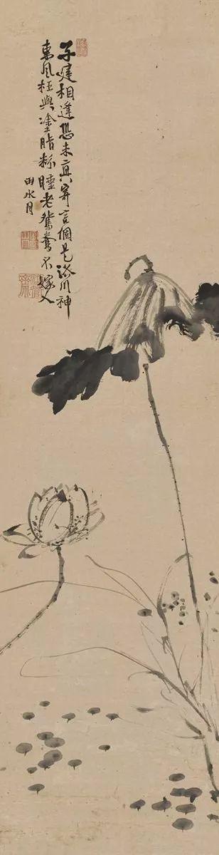 明朝狂人徐渭的水墨荷花,独树一帜!