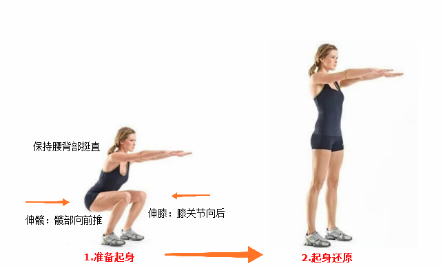 做好深蹲,要先学会如何屈髋,它会帮你完成漂亮的深蹲