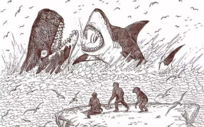 150万年前的巨齿鲨还没灭绝?7年前在南非海域,它们曾袭击渔船