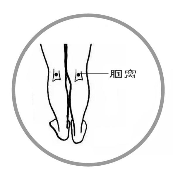 从现在喝到三伏,体内湿气除光光