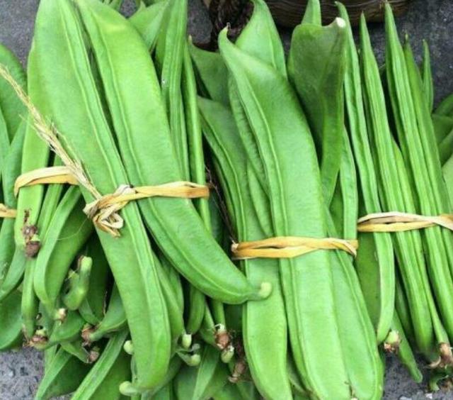 豇豆,四季豆,扁豆,刀豆……带你认识和分清"豆角家族"