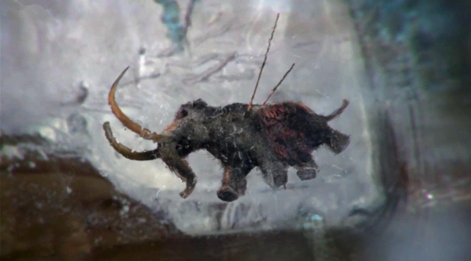 《冰河时代》冰块里竟藏着一头猛犸象