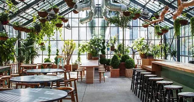 300元快餐不限次QQ服务解析,经济型餐饮消费新趋势探讨