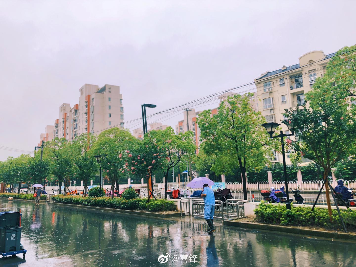 暴雨过后,又是小雨不断……进入雨季的上海,真让人哭笑不得