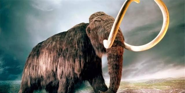 世界上灭绝的5种动物其中一个被称为活化石为何消失了