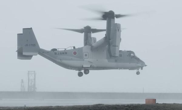 日本首支鱼鹰输送航空队8月开训木更津基地附近居民担心了