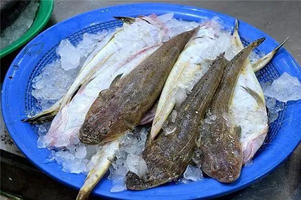 这鱼在我国不值钱,潮汕人懂它的价值,到了日本摇身一变成高档货