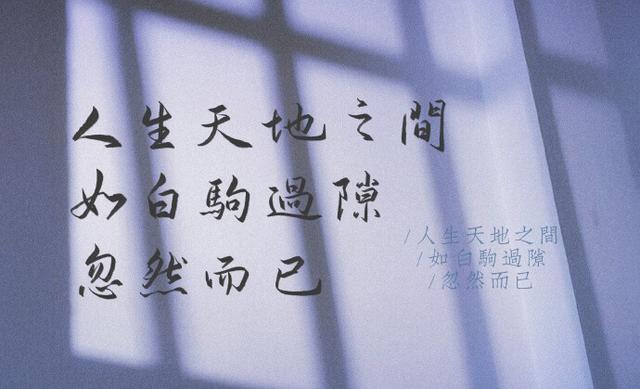 放他三千裘马去,不寄俗生,唯贪我三枕黄粱梦