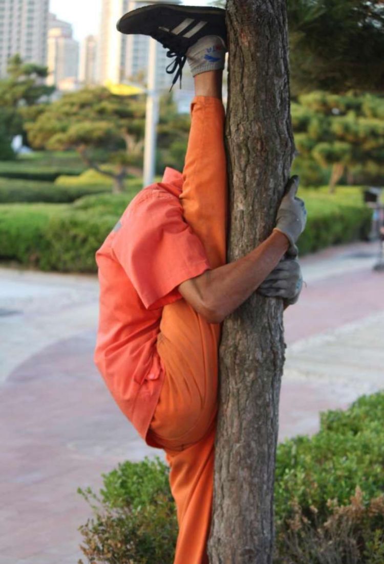 竟然在街头抱树表演一字马,这让周围的路人惊叹不已,还有很多停了下来