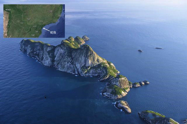 真正的蛇岛:面积43万平米,却有50万条蛇,价值相当不菲