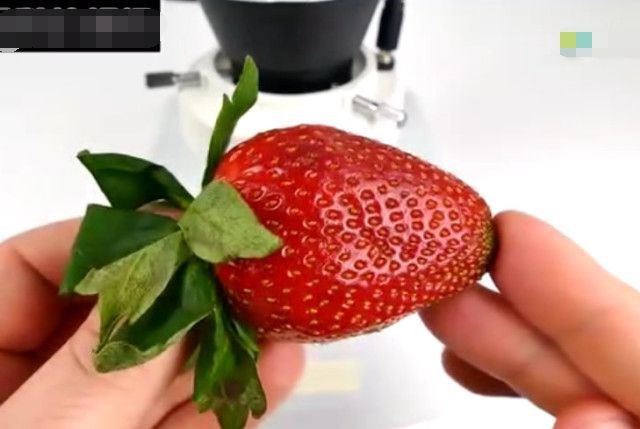 男子将草莓在显微镜下放大一百倍,接下来的一幕让所有人傻眼了