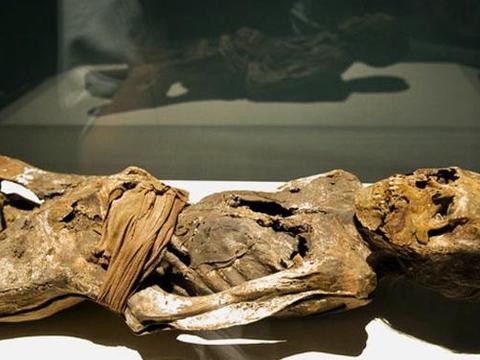 木乃伊居然怀孕是真的吗 千年古尸重生的秘密究竟在哪里科技微在线