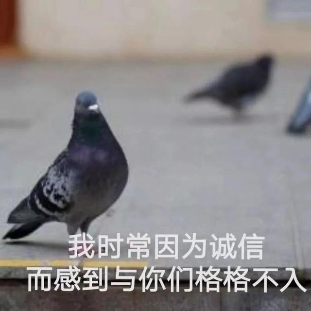 12星座说话可信度大揭秘,最爱放鸽子的竟然是ta.