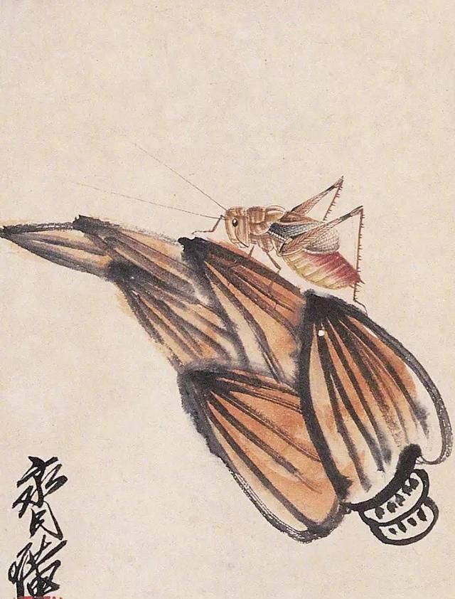 齐白石画小虫子,惊艳了后人,原来齐白石还是写实高手