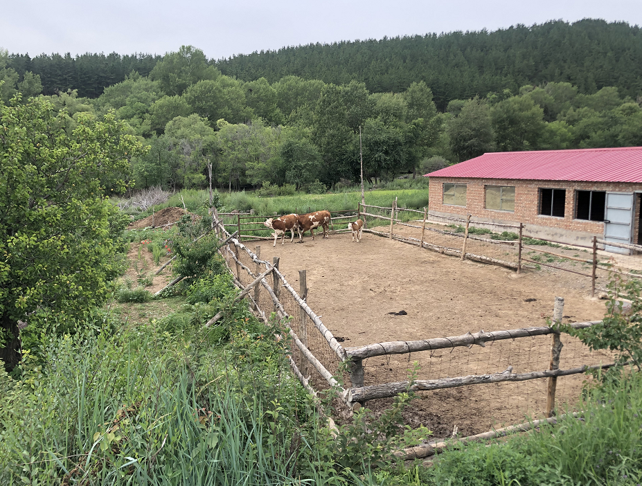 赤峰老年公寓杀人案再调查：村民眼中的81岁杀人嫌犯