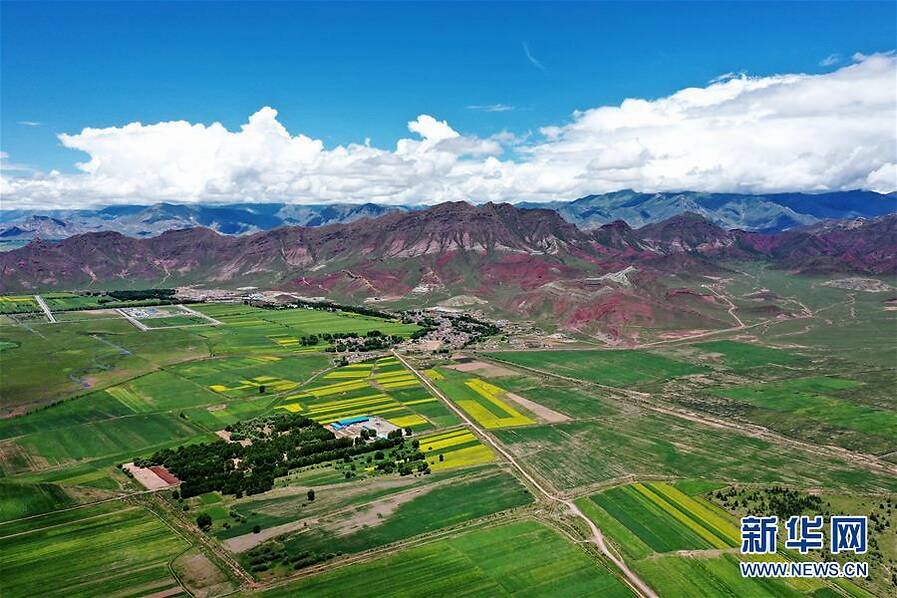 林周县江热夏乡田园景色.